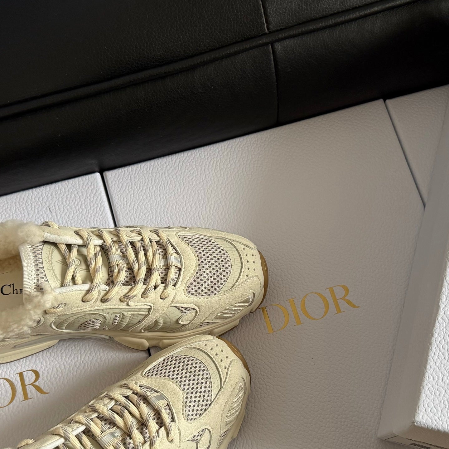 Dior 25 Chrono Sneakers Cream Mesh Calfskin 531394