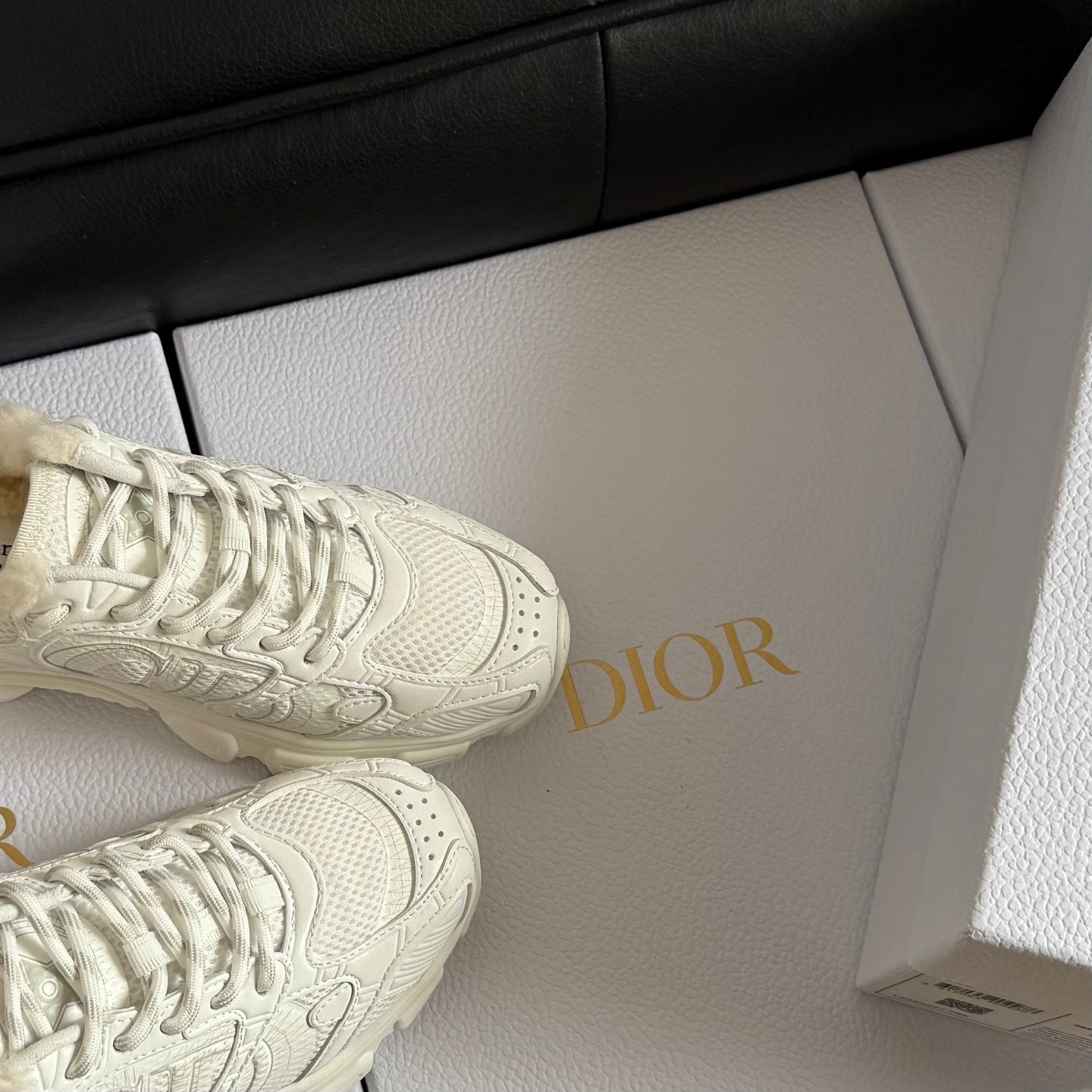 Dior 25 Chrono Sneakers White Mesh Calfskin 531395