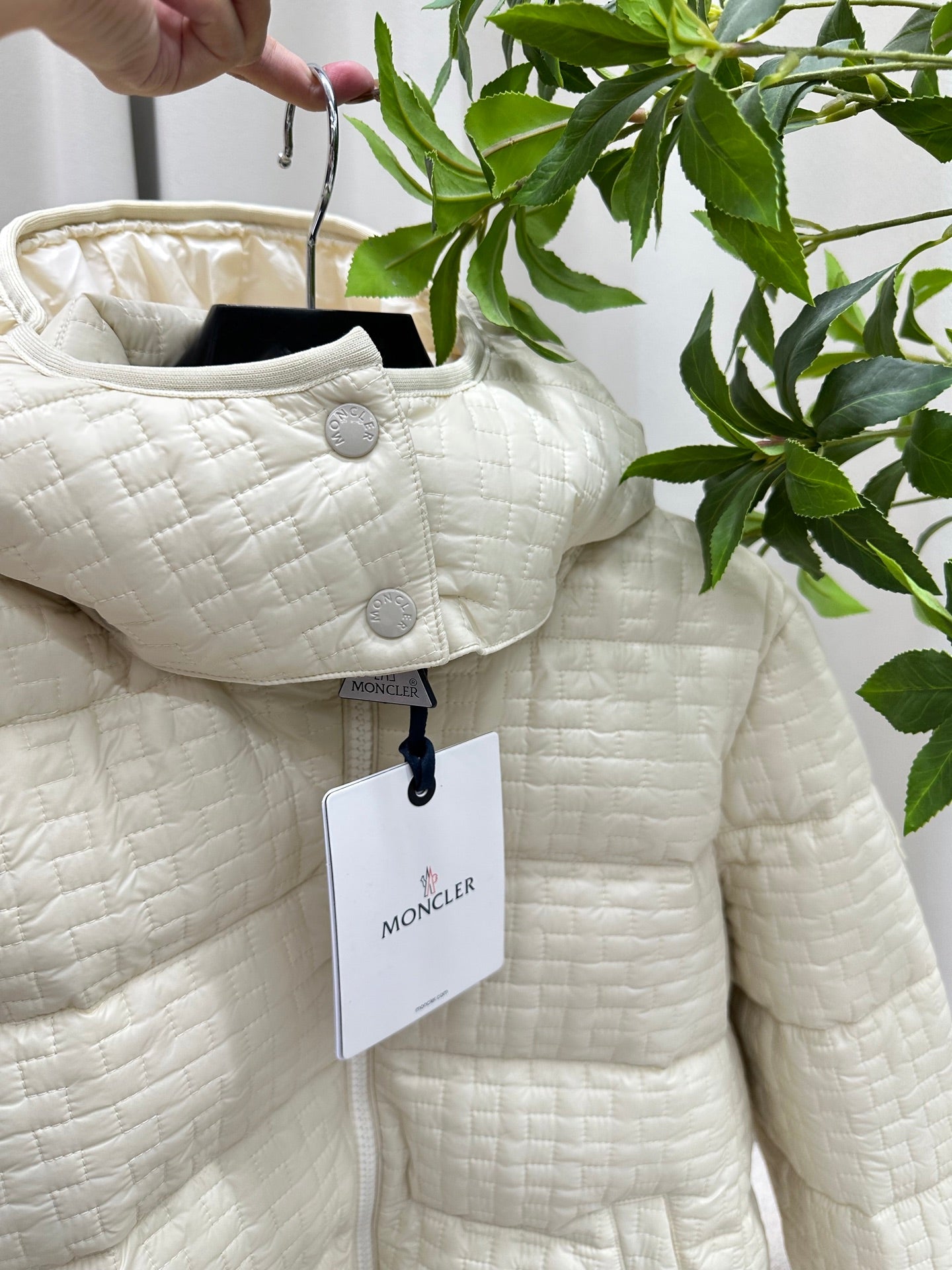 MC 2025 Jacket Light Yellow Polyester