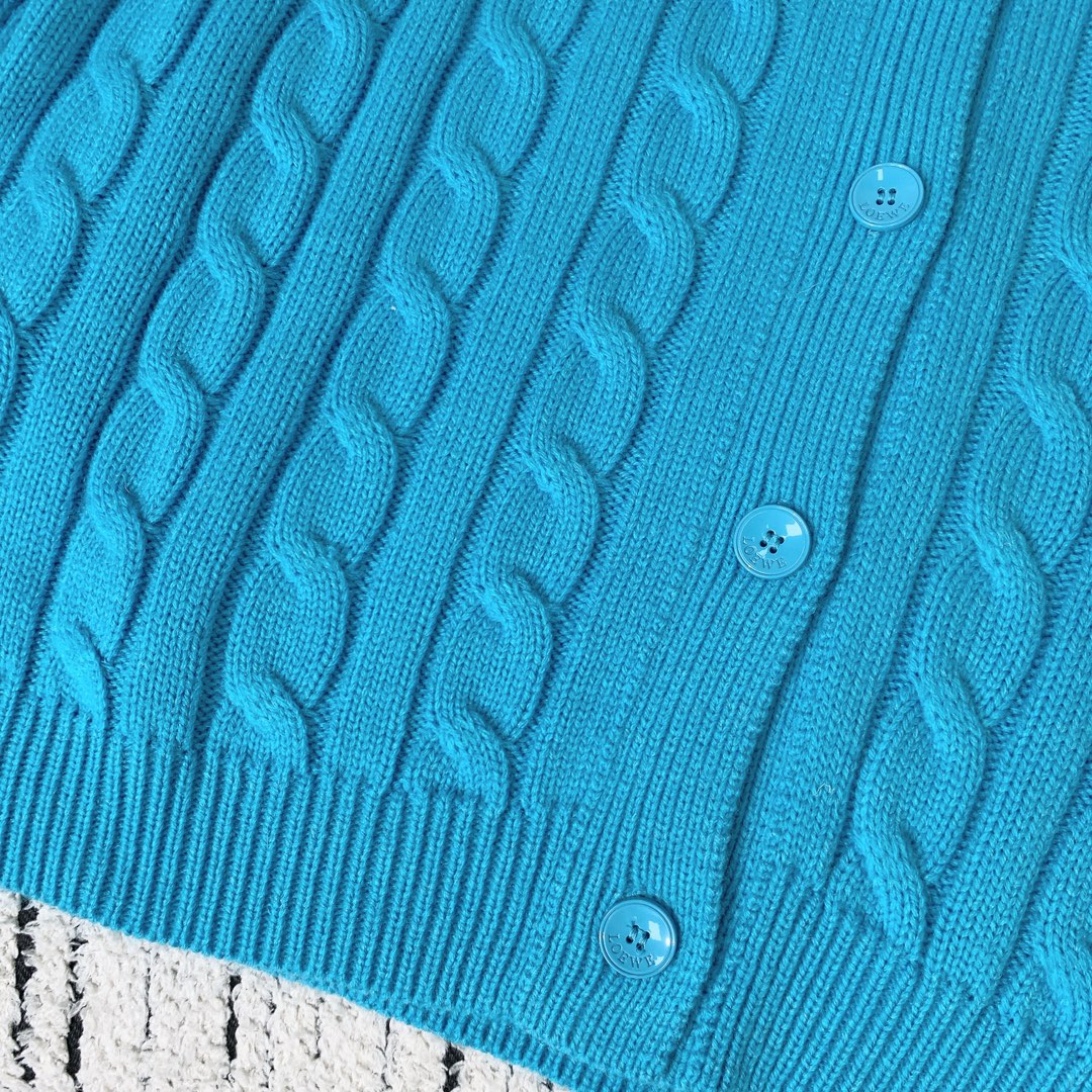 Loewe 2025 Knitted Embroidered Logo Button-Up Cardigan Blue Wool 289137