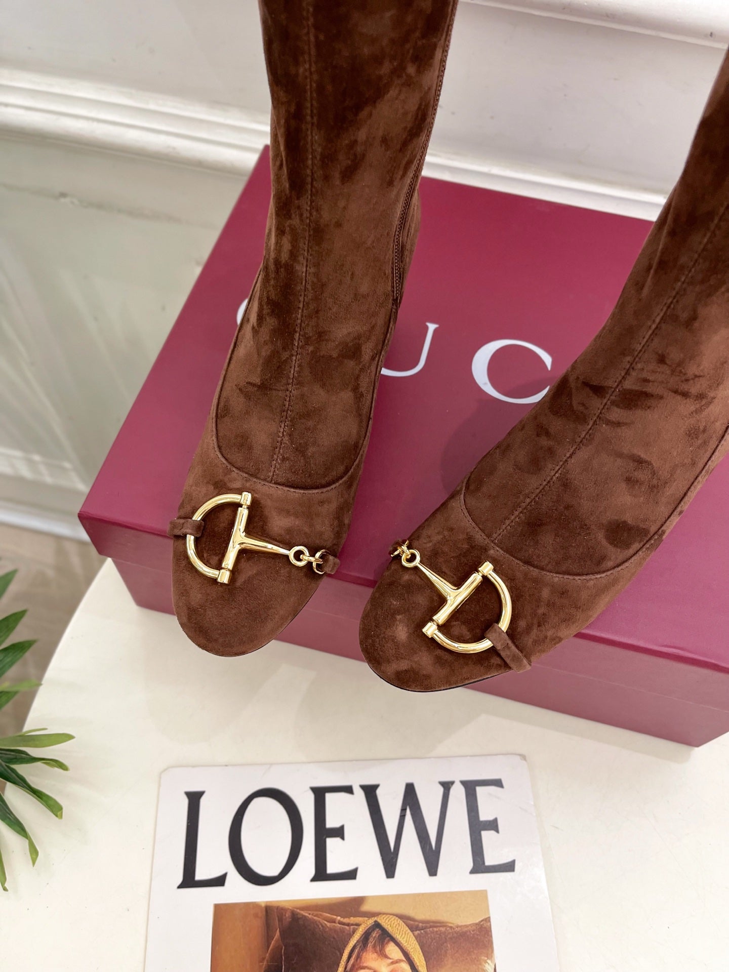 GG half-D chain buckle  ankle boots brown suede 536055